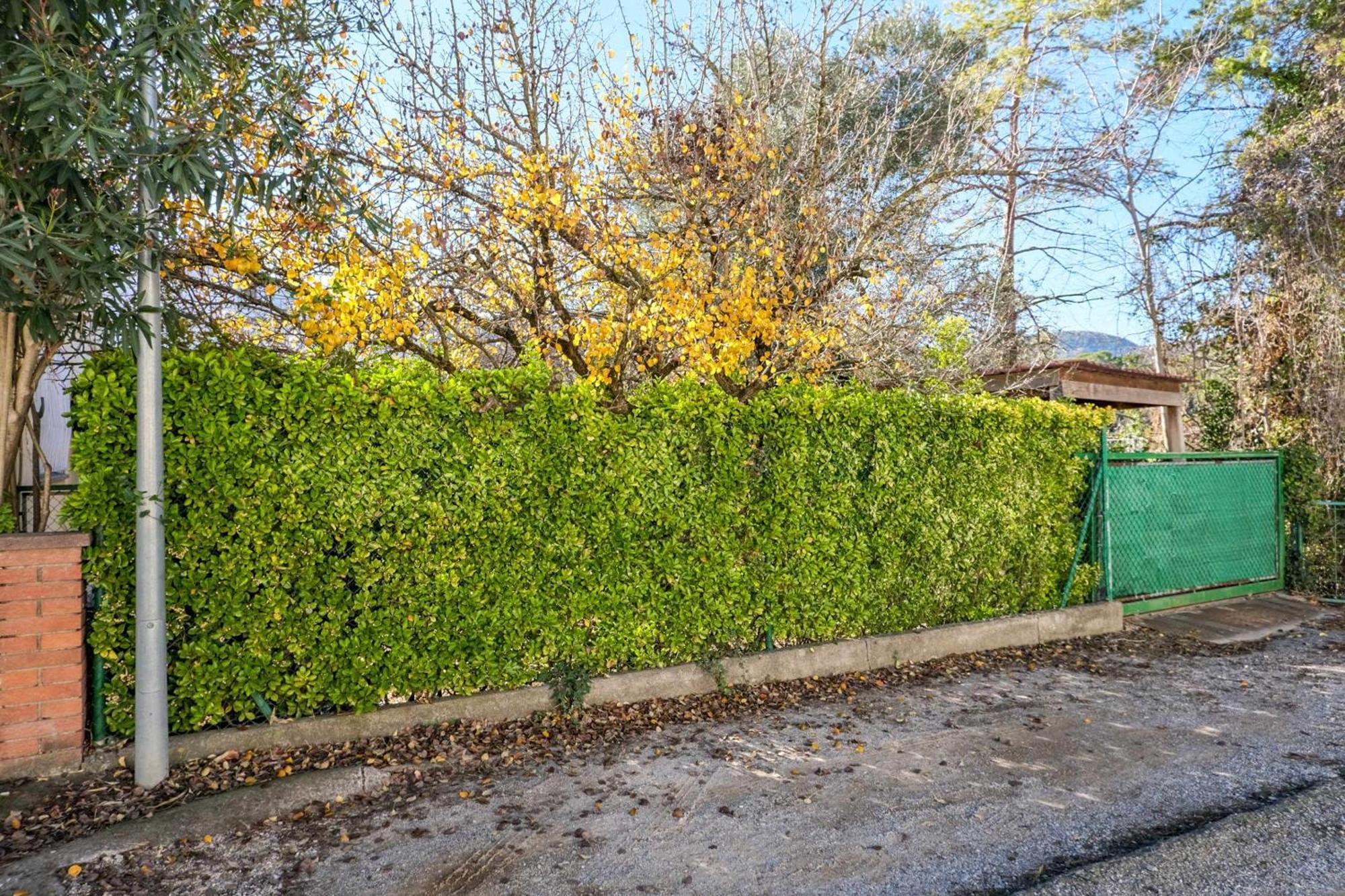 Can Camps Besalu Casa Planta Baja Con Jardin Εξωτερικό φωτογραφία